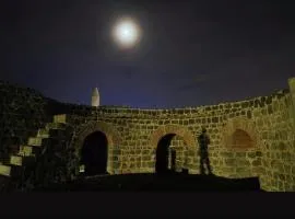 Star Palace