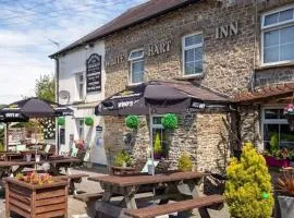 White Hart Llandeilo