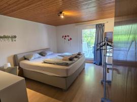 Lakeberry Apartment, ξενοδοχείο σε Freienbach