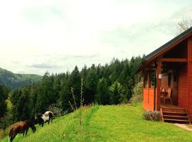 Tiny house, hotel v destinaci Žiri