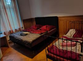 Zentrales Zimmer im 1OGC 2 Gehminuten zum Bahnhof Solothurn, hotel in Solothurn