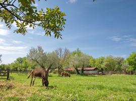 Green Ranch Stara Maslina, hotel en Kotor