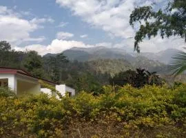 Vyantara