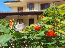 Vizion Hotel