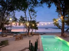 The Beach House
