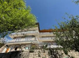 Hotel The Premium Villa Old Manali View