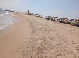 Beach safari nubian resort