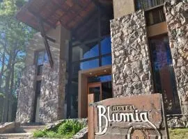 Hotel Blumig