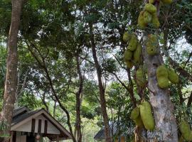 Eternal Forest Beach Bar&Bungalow, hotell sihtkohas Koh Chang Ranong