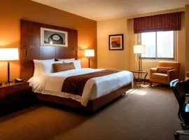 Hotel White Sand Suites At Airport