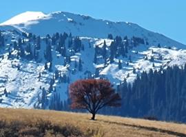 Загородный дом, ξενοδοχείο σε Zhezdi