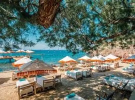 La Local Beach House Yalıkavak