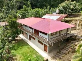 Cabaña la Jungla