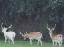 Creebridge Caravan Park, Hotel in Newton Stewart