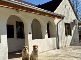 Sárffy Vendégház, hotel in Szőce