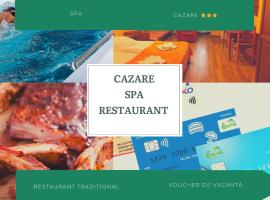 Pensiunea Flora、バイレ・トゥシュナドのホテル