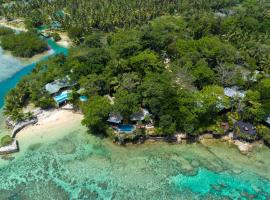 Savasi Island Resort, ξενοδοχείο σε Savusavu