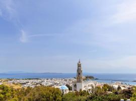 Epavlis Petrou Siwtou, hotell sihtkohas Tinos Town