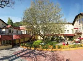 Hotel Payerbacherhof