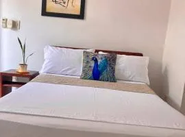 Hotel Boutique Refugio Llanero Centro Histórico