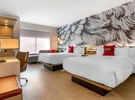 Cambria Hotel Rock Hill - University Center