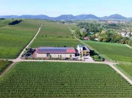Vögelis WeinNest
