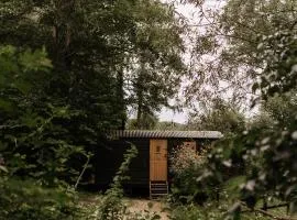 The Fish Hotel