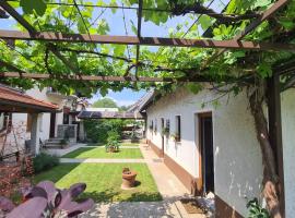 Brne Family House, hotel in Postojna