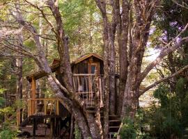 Pucón Volcano Forest SPA, hotel in Pucón