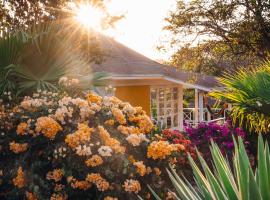 Chogogo Dive & Beach Resort Curaçao, hotel in Jan Thiel