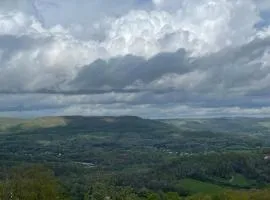 Tree Top View of lookout mountain