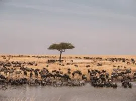 Nadjam