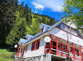 Cabana Dara、Cumpănaのホテル