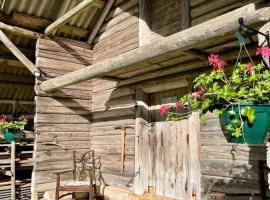 Old Silent, hotel a Hara