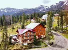 Alpin Eco Chalet & Wellness