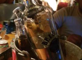 Money Home, hotel in Ghent