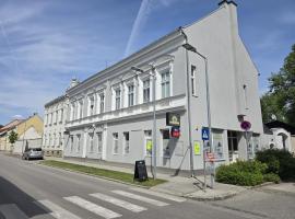 Wohnung am Stadtpark, hôtel à Neunkirchen