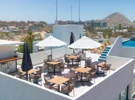 Colmena Marina Cabos