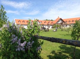 Foto di Hotel: Lóbarát Panzió