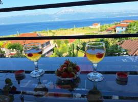 Taku Villa Wonderful view of Lake Ohrid, Hotel in Udënisht