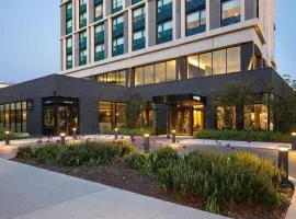 The Study at the University of Chicago