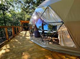 Falling Stars at Bull Shoals Lake, hotell sihtkohas Oakland