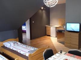 Apartament Pokoje u Jacka Zakopane PKP 700 Centrum 1200, hotel en Zakopane