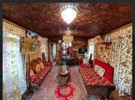 Houseboat young Minar