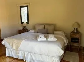 Vivacs del Plata