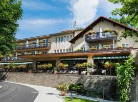 Hôtel Restaurant Logis Auberge Sundgovienne