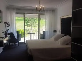 Hôtel Les Deux Lions