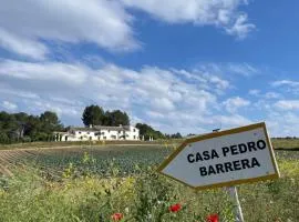 Hotel Casa Pedro Barrera