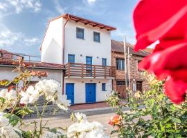 Modrý sklep 77,位于大帕夫洛维采的酒店