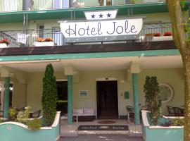 Ξενοδοχείο φωτογραφία: Hotel Jole